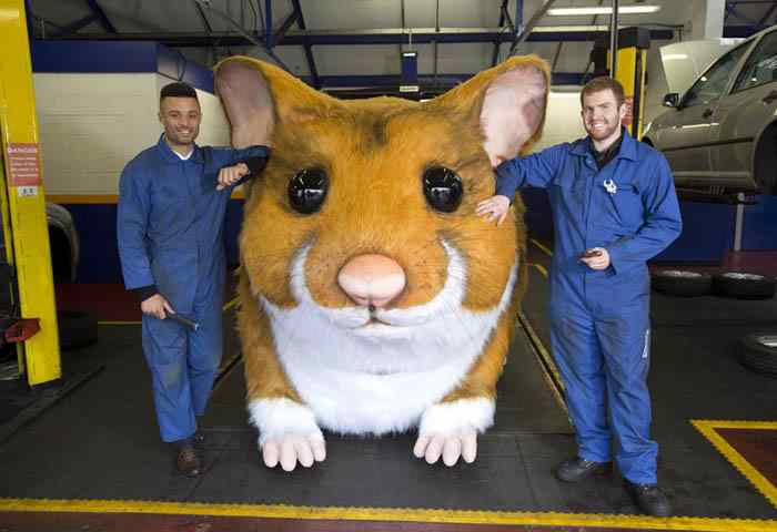 Giant hamster in Kwik Fit