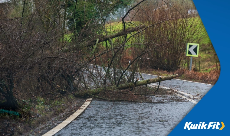 An uprooted tree blocks a country road after a big storm.